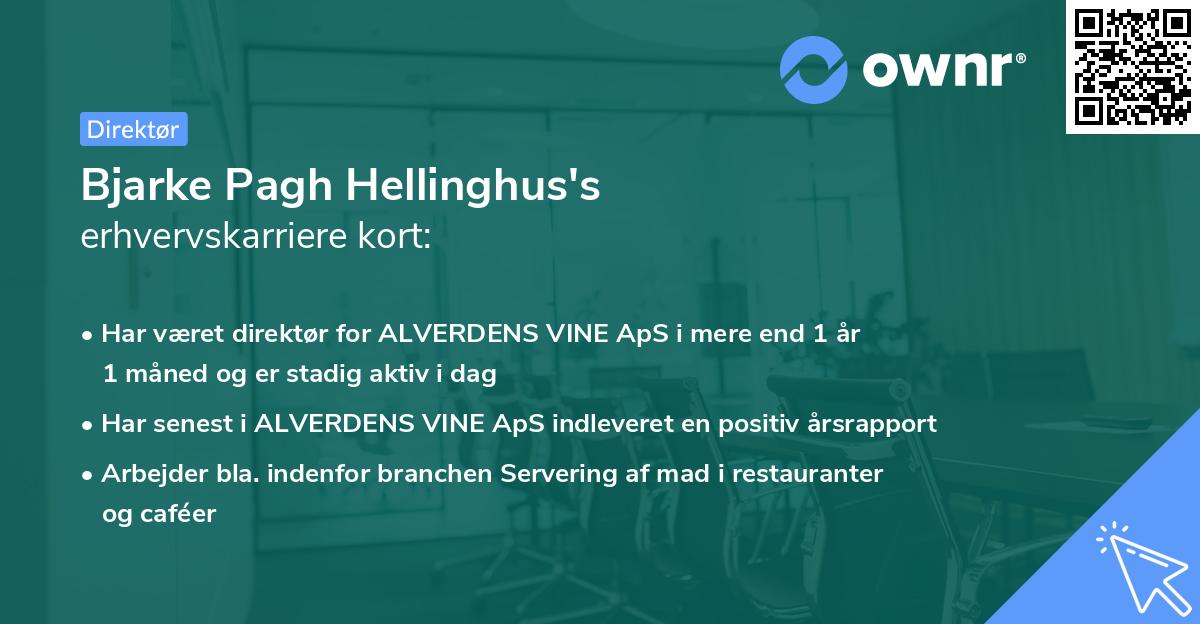 Bjarke Pagh Hellinghus's erhvervskarriere kort