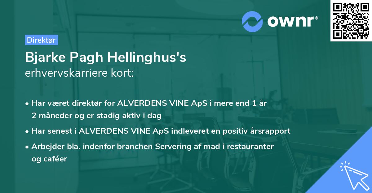 Bjarke Pagh Hellinghus's erhvervskarriere kort