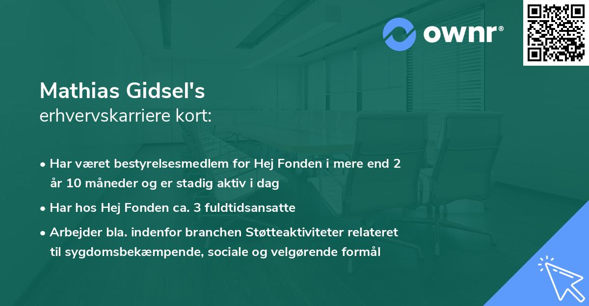 Mathias Gidsel's erhvervskarriere kort