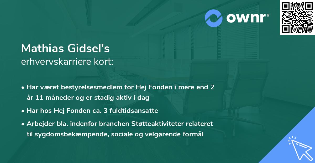 Mathias Gidsel's erhvervskarriere kort