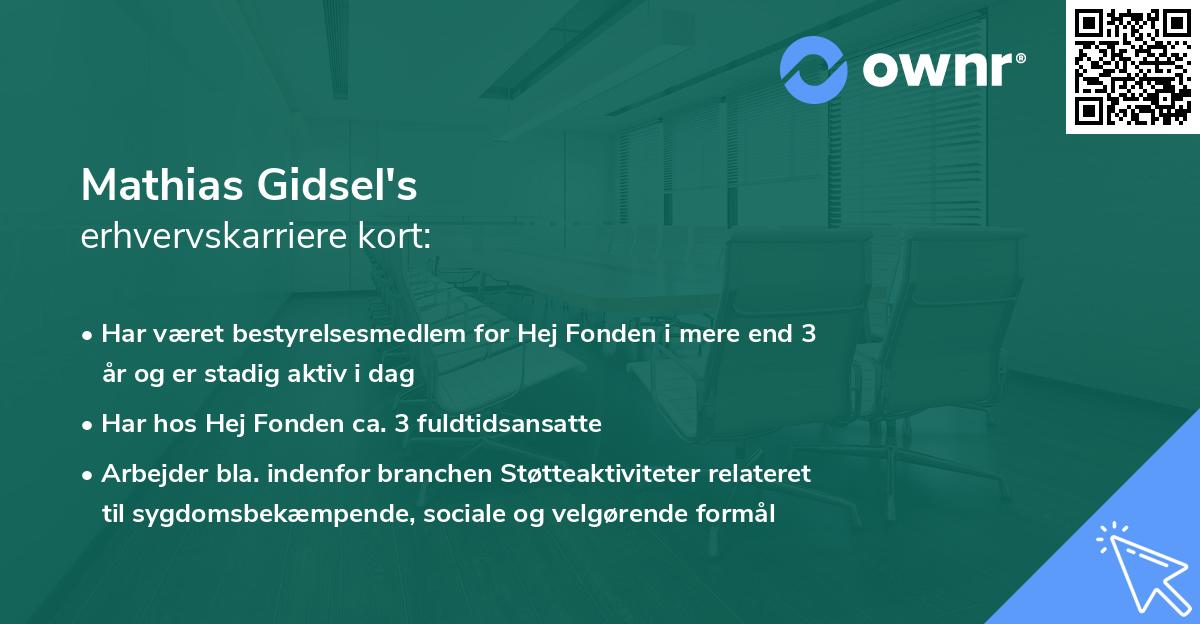 Mathias Gidsel's erhvervskarriere kort