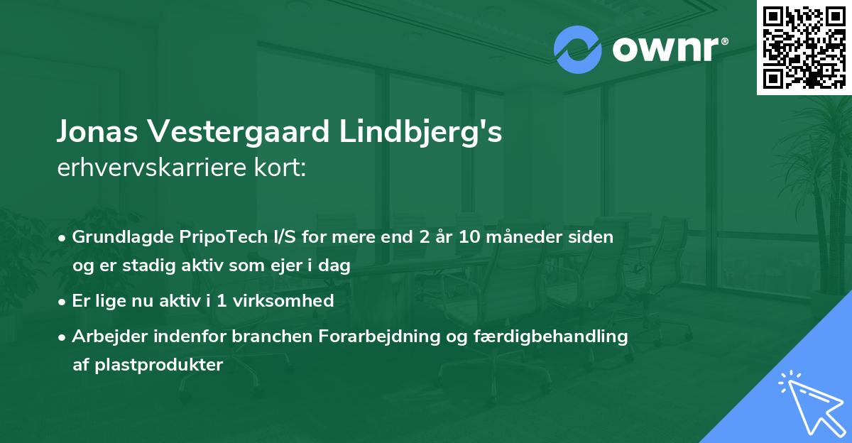 Jonas Vestergaard Lindbjerg's erhvervskarriere kort
