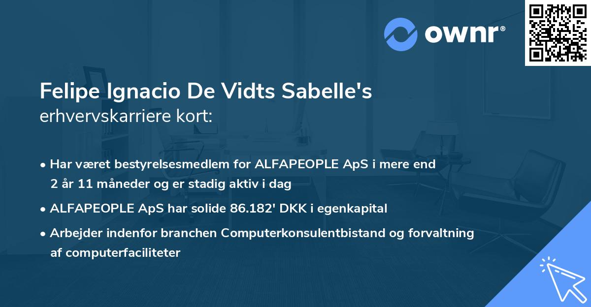 Felipe Ignacio De Vidts Sabelle's erhvervskarriere kort