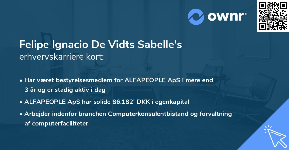 Felipe Ignacio De Vidts Sabelle's erhvervskarriere kort