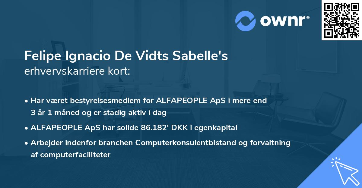 Felipe Ignacio De Vidts Sabelle's erhvervskarriere kort