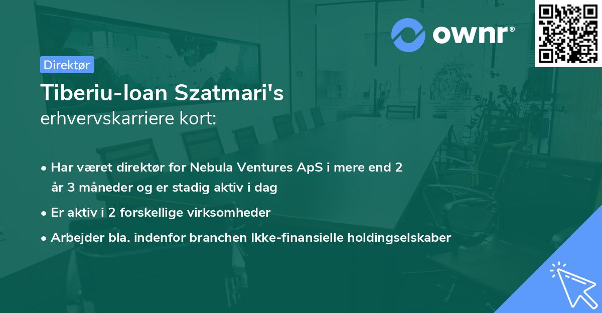 Tiberiu-Ioan Szatmari's erhvervskarriere kort
