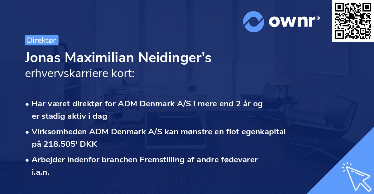 Jonas Maximilian Neidinger's erhvervskarriere kort