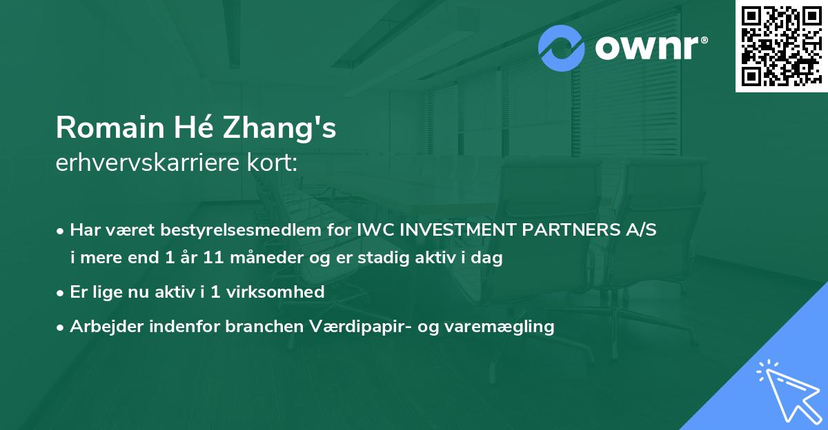 Romain Hé Zhang's erhvervskarriere kort