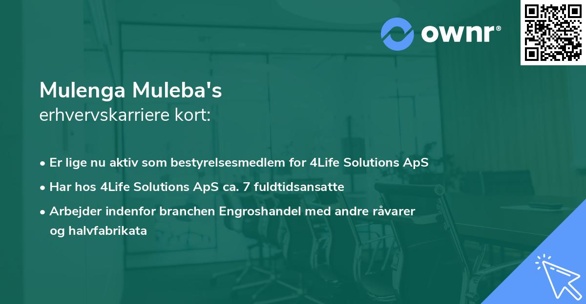 Mulenga Muleba's erhvervskarriere kort