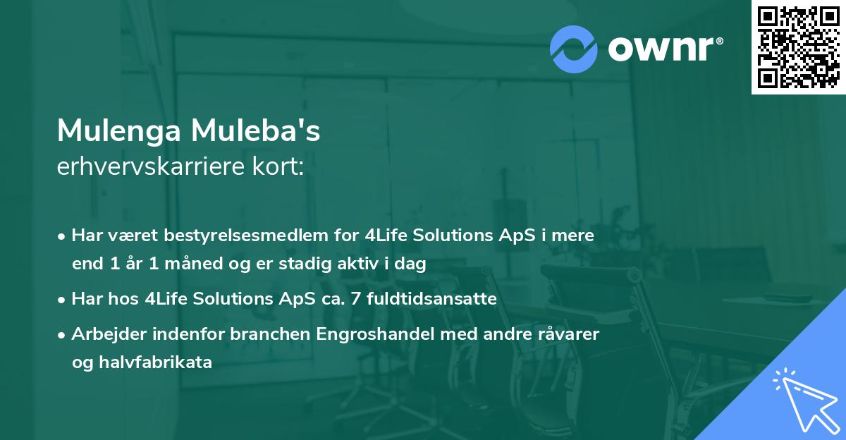 Mulenga Muleba's erhvervskarriere kort