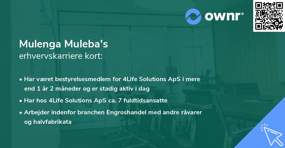 Mulenga Muleba's erhvervskarriere kort