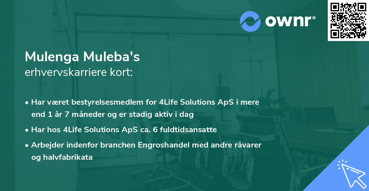 Mulenga Muleba's erhvervskarriere kort