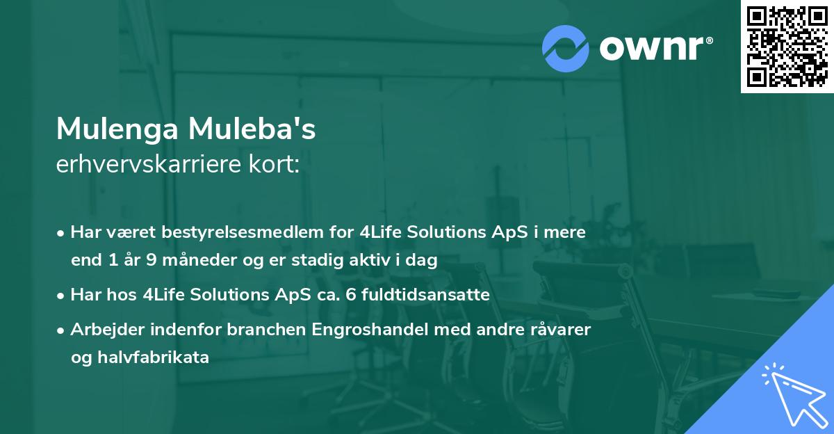 Mulenga Muleba's erhvervskarriere kort