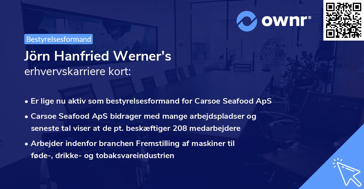 Jörn Hanfried Werner's erhvervskarriere kort