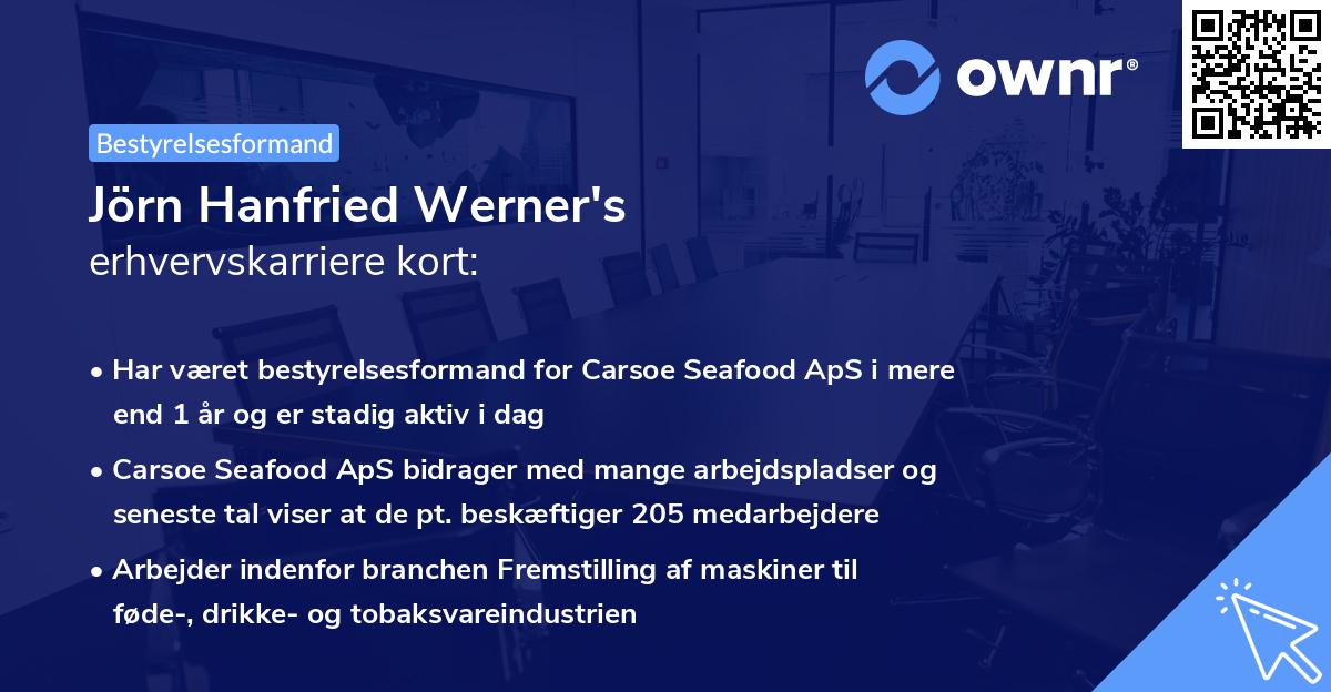 Jörn Hanfried Werner's erhvervskarriere kort