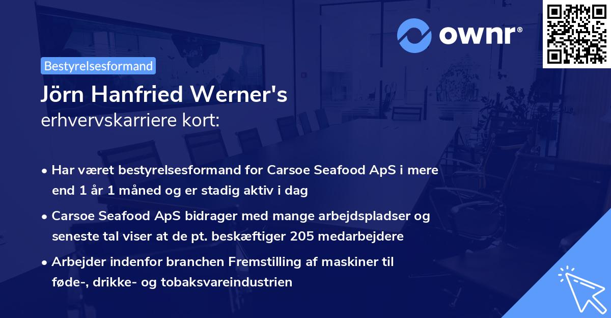 Jörn Hanfried Werner's erhvervskarriere kort