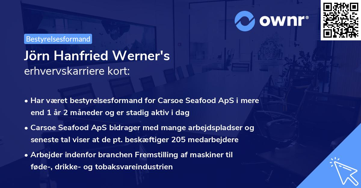 Jörn Hanfried Werner's erhvervskarriere kort