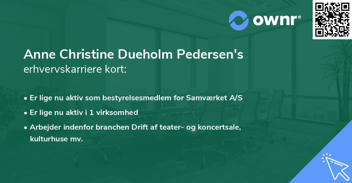 Anne Christine Dueholm Pedersen's erhvervskarriere kort