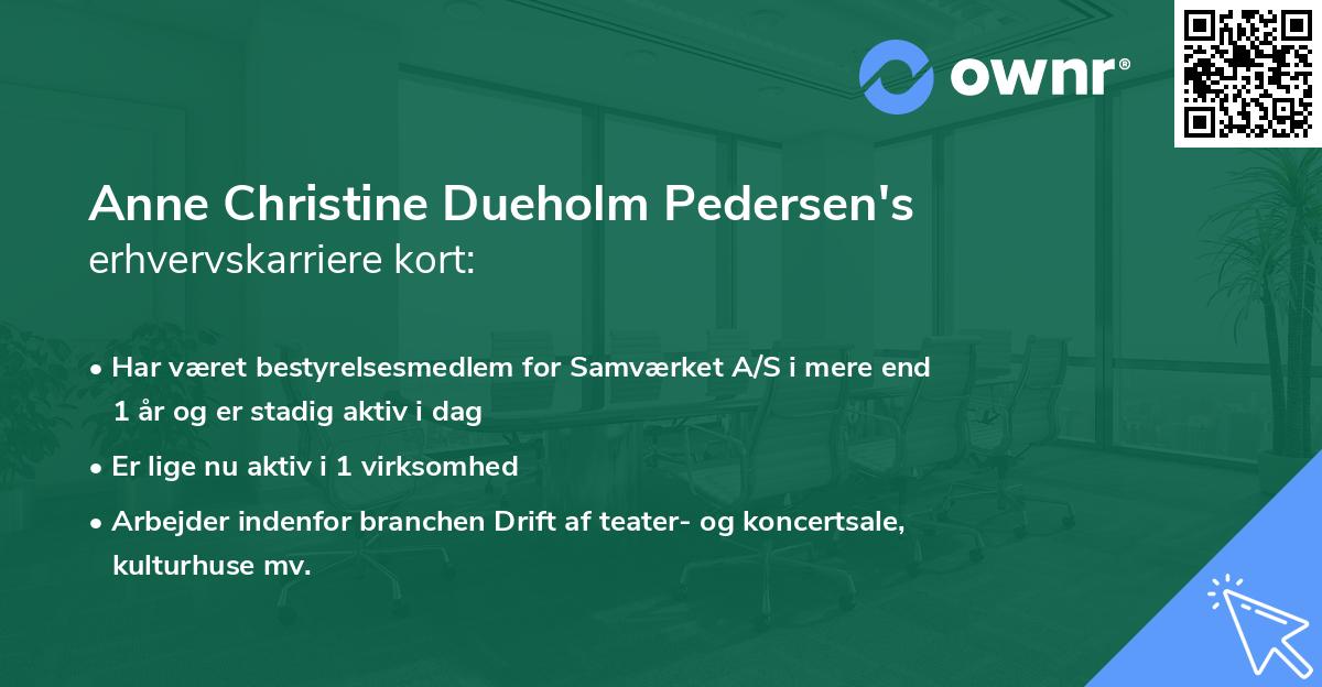 Anne Christine Dueholm Pedersen's erhvervskarriere kort
