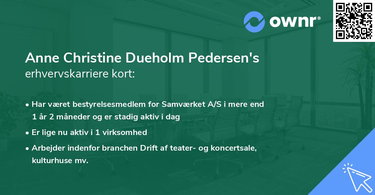 Anne Christine Dueholm Pedersen's erhvervskarriere kort