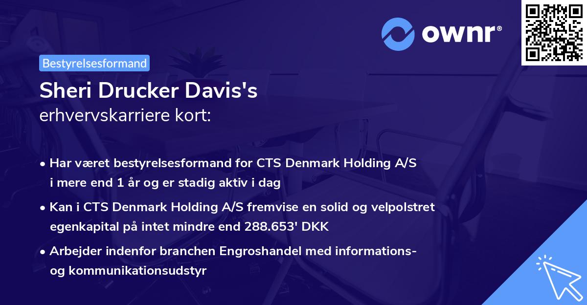 Sheri Drucker Davis's erhvervskarriere kort