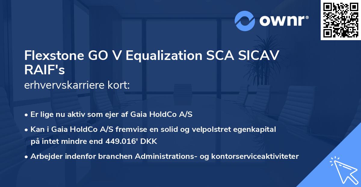 Flexstone GO V Equalization SCA SICAV RAIF's erhvervskarriere kort