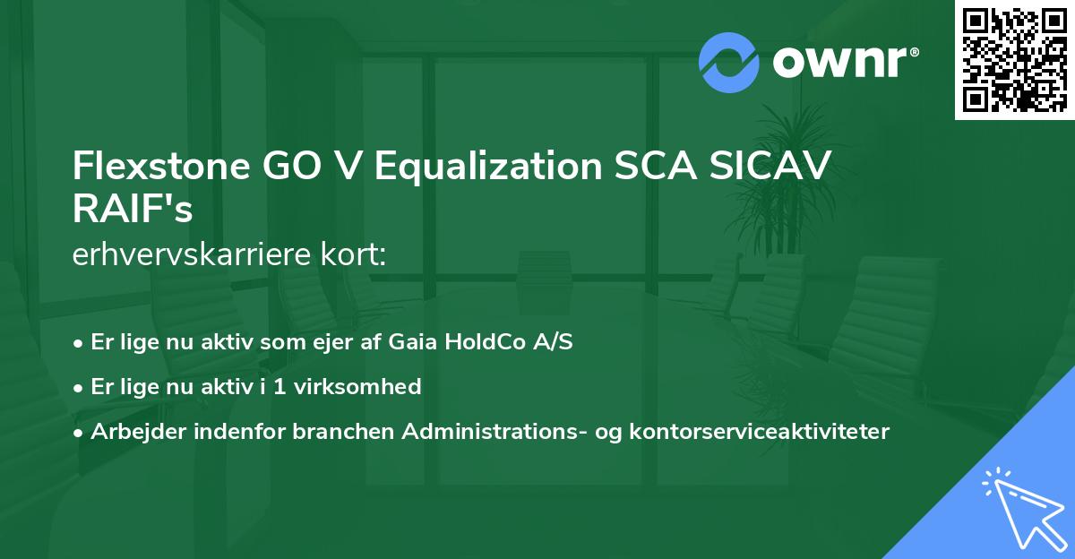Flexstone GO V Equalization SCA SICAV RAIF's erhvervskarriere kort