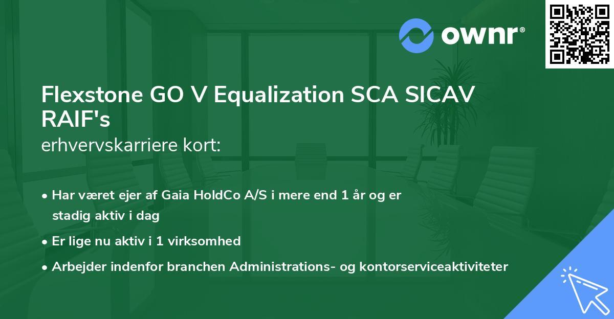 Flexstone GO V Equalization SCA SICAV RAIF's erhvervskarriere kort