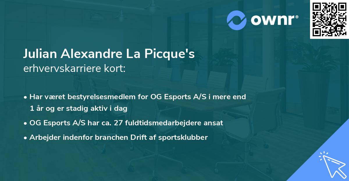 Julian Alexandre La Picque's erhvervskarriere kort