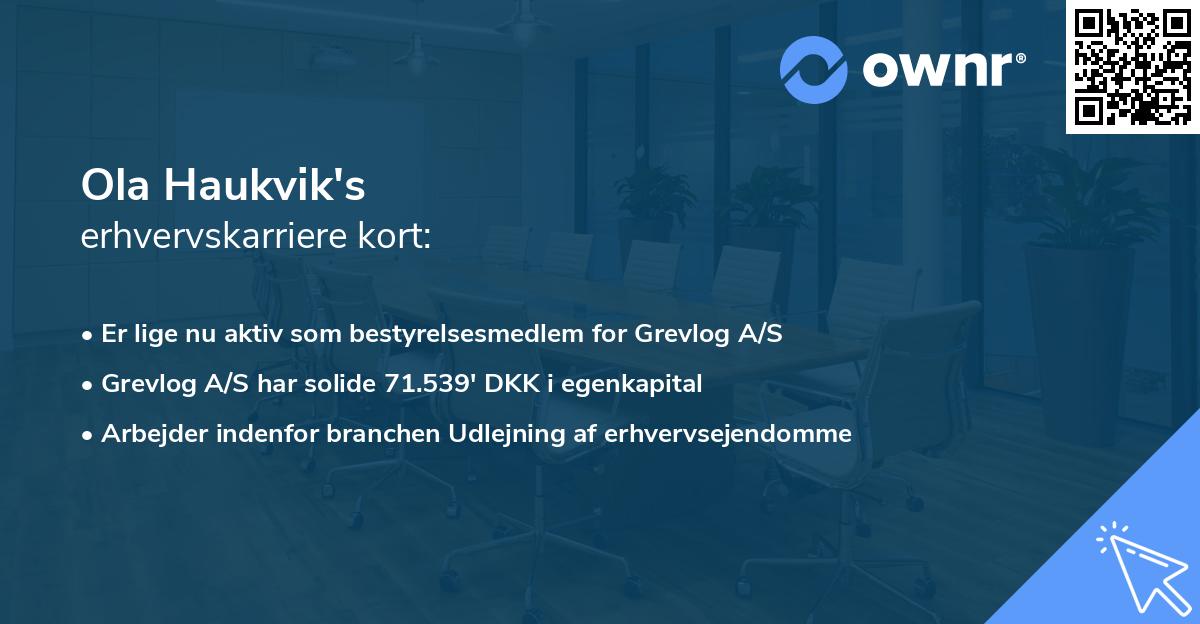 Ola Haukvik's erhvervskarriere kort