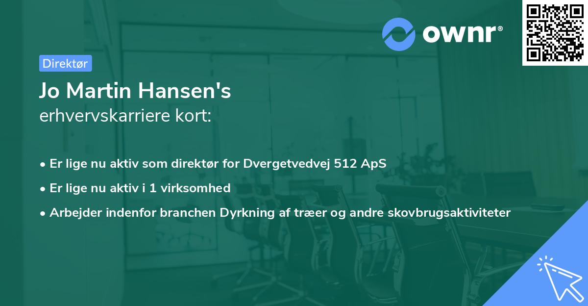 Jo Martin Hansen's erhvervskarriere kort