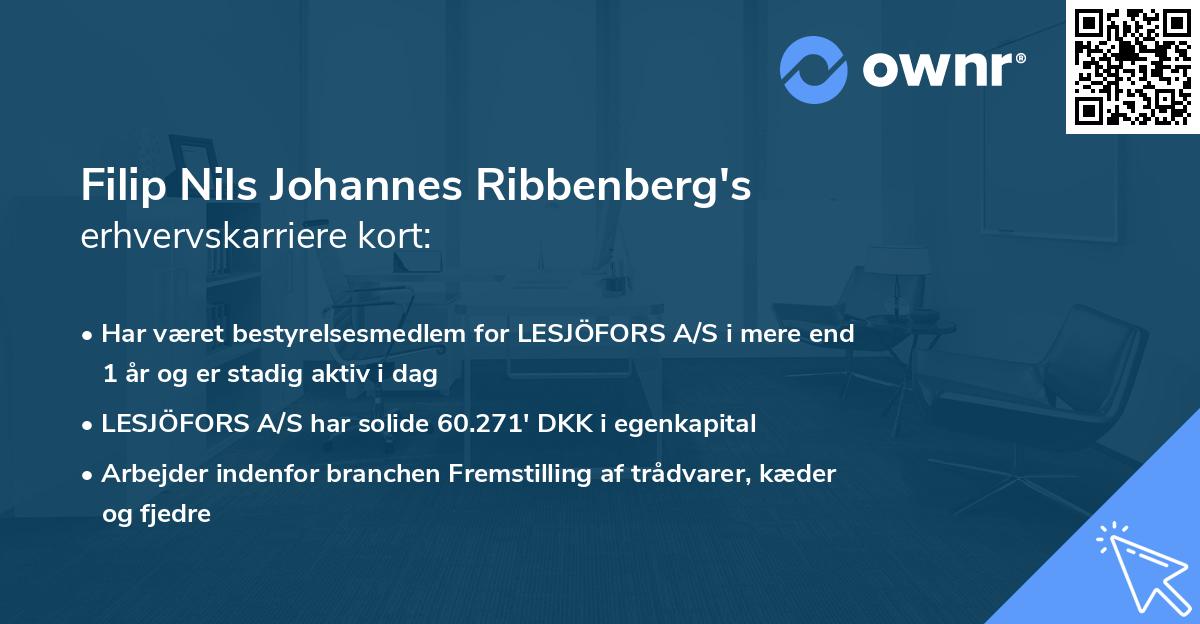 Filip Nils Johannes Ribbenberg's erhvervskarriere kort