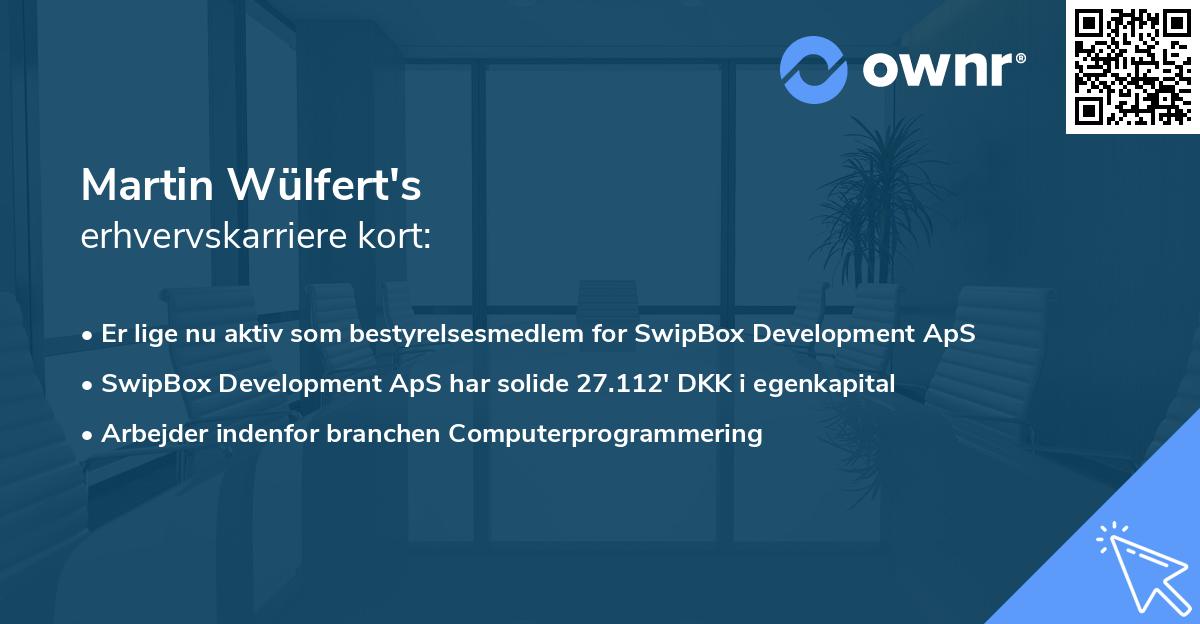 Martin Wülfert's erhvervskarriere kort