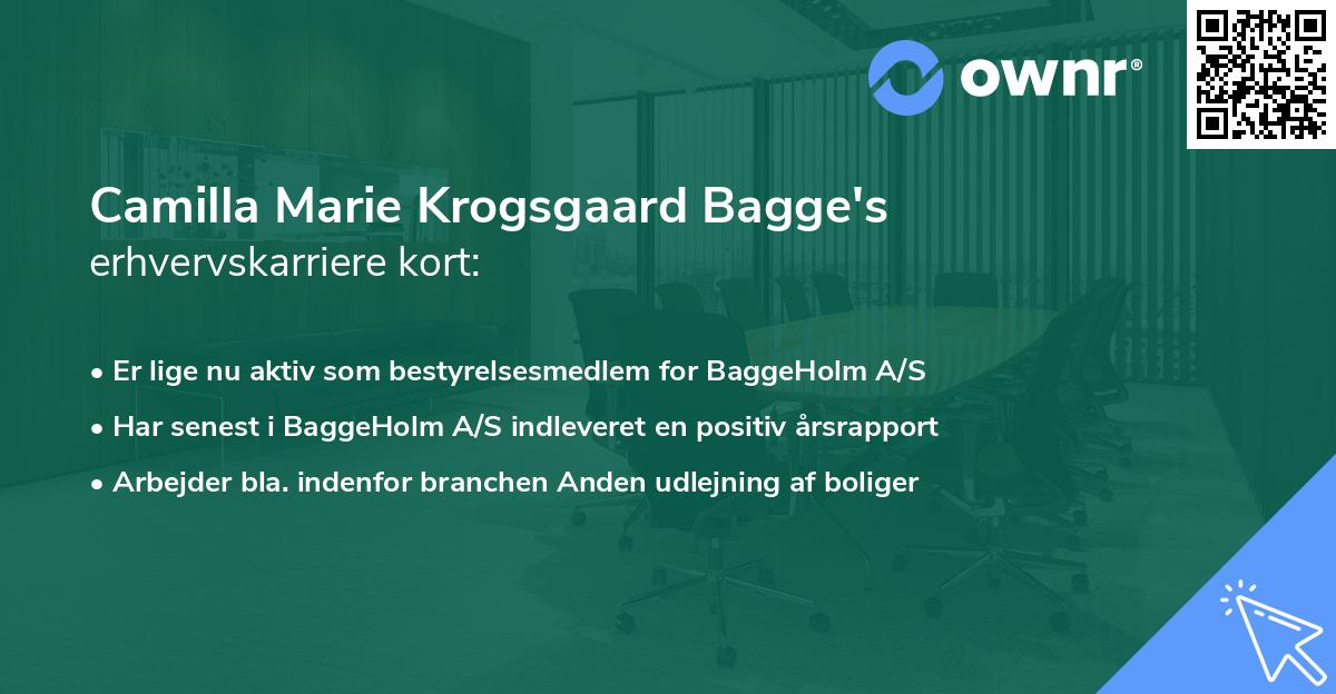 Camilla Marie Krogsgaard Bagge's erhvervskarriere kort