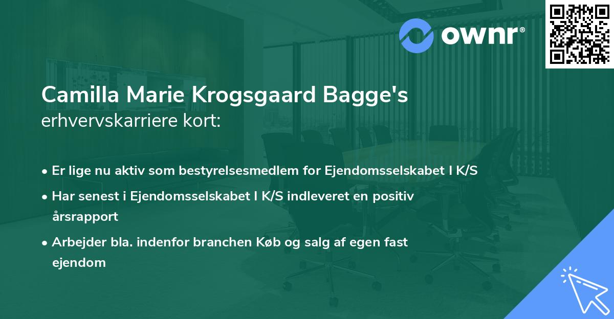 Camilla Marie Krogsgaard Bagge's erhvervskarriere kort