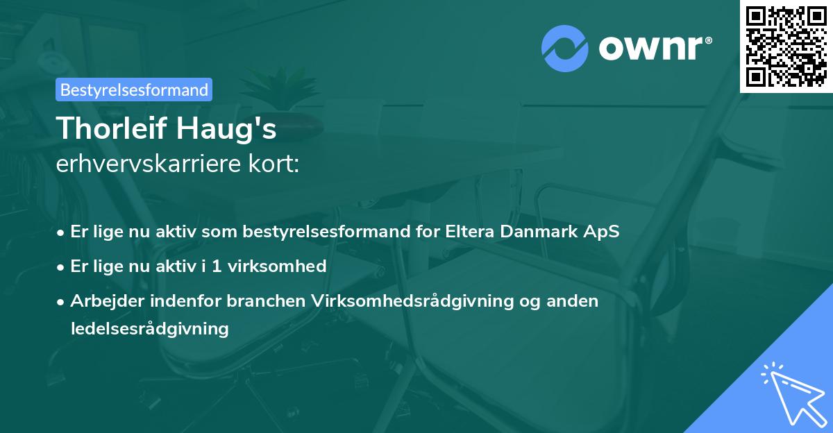 Thorleif Haug's erhvervskarriere kort
