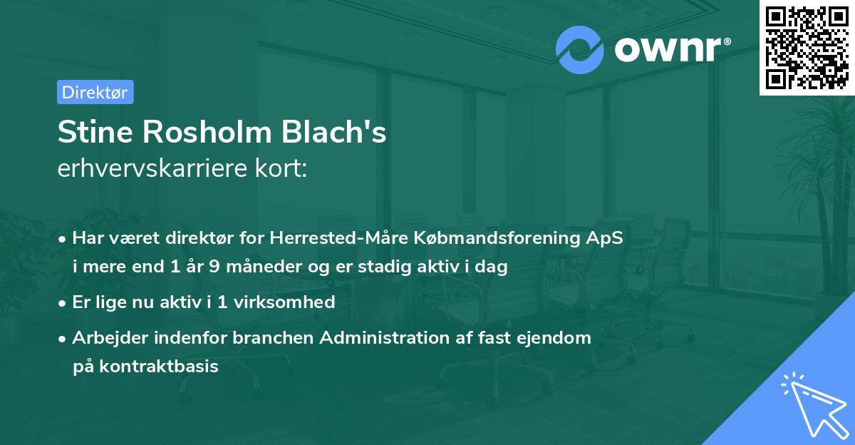 Stine Rosholm Blach's erhvervskarriere kort