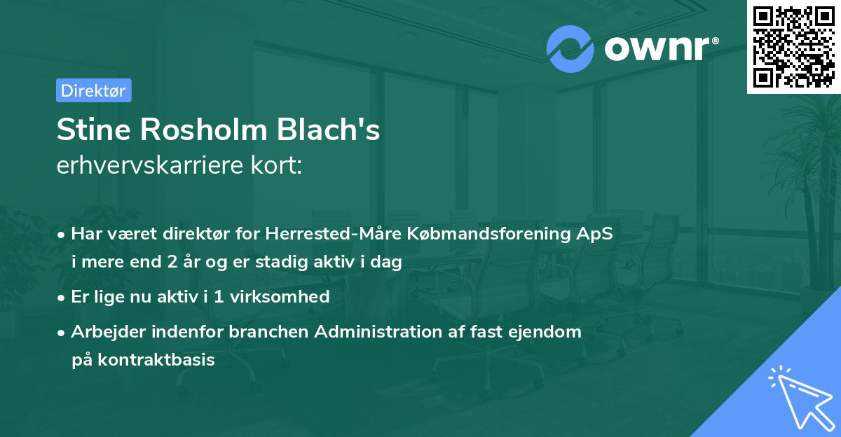 Stine Rosholm Blach's erhvervskarriere kort