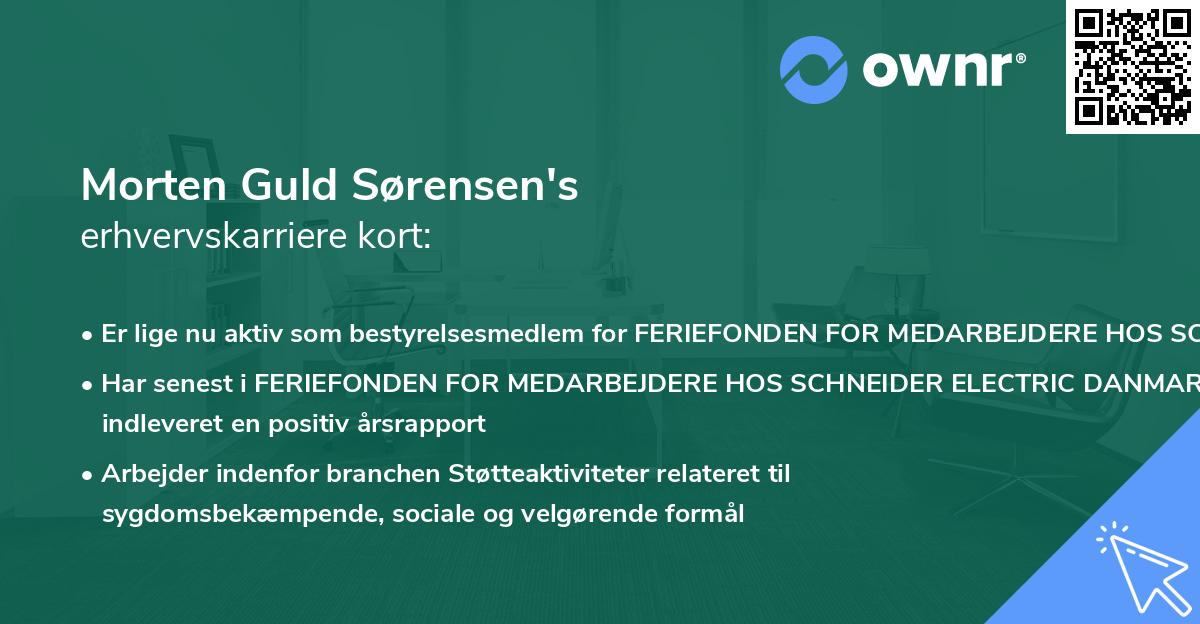 Morten Guld Sørensen's erhvervskarriere kort