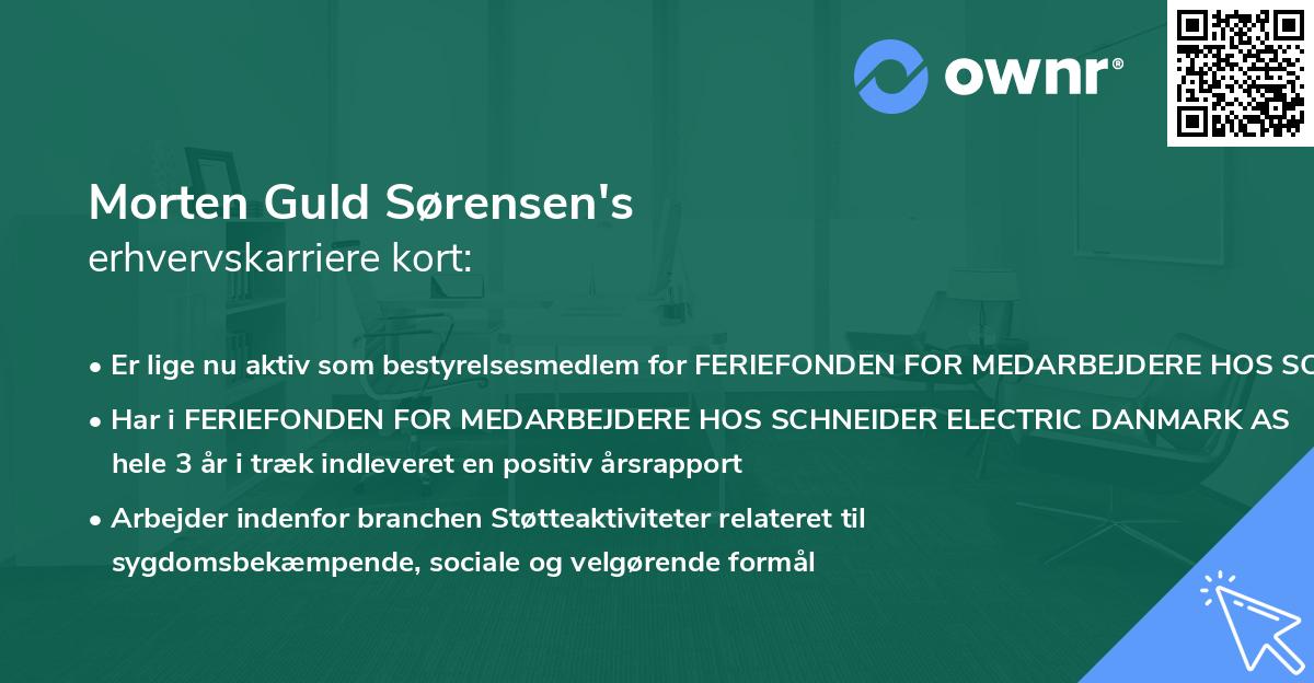 Morten Guld Sørensen's erhvervskarriere kort