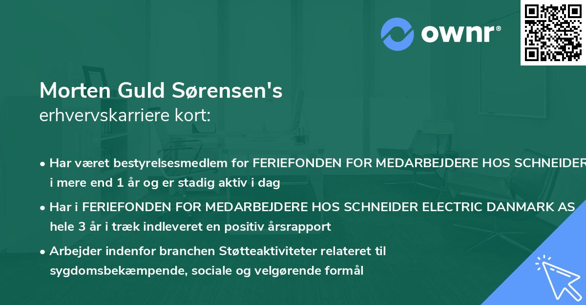 Morten Guld Sørensen's erhvervskarriere kort