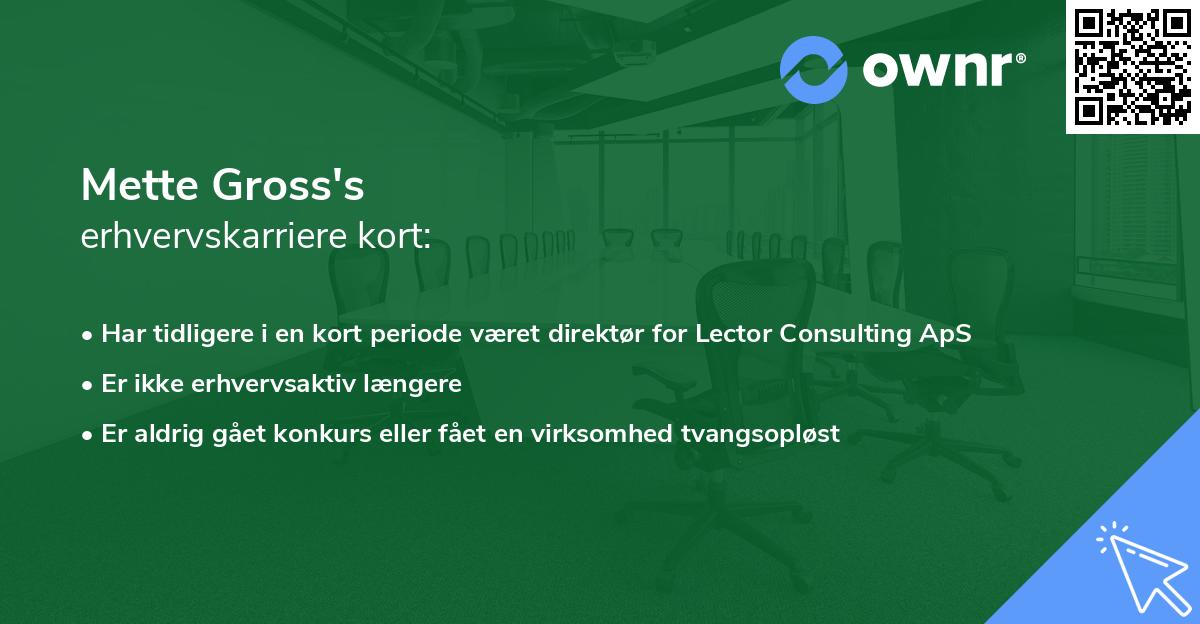 Mette Gross's erhvervskarriere kort