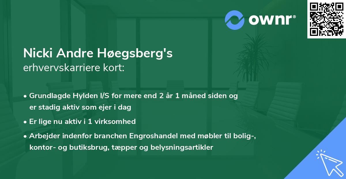 Nicki Andre Høegsberg's erhvervskarriere kort