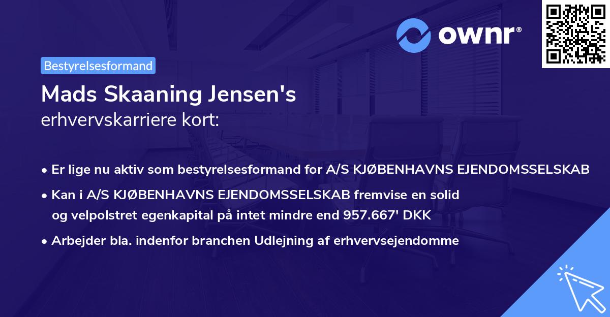 Mads Skaaning Jensen's erhvervskarriere kort