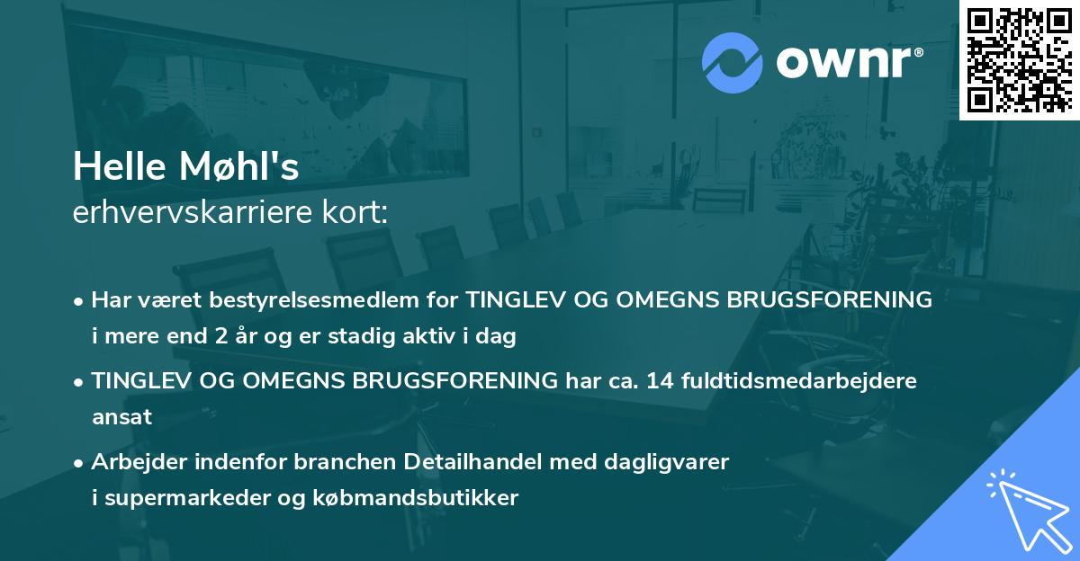 Helle Møhl's erhvervskarriere kort