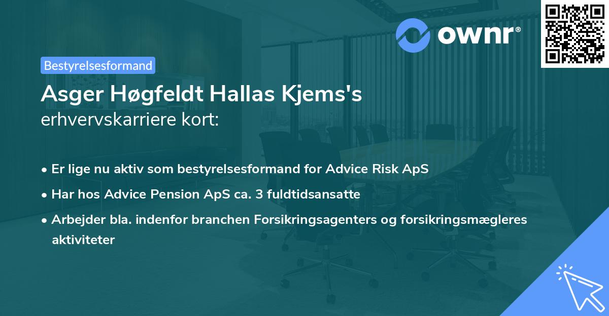 Asger Høgfeldt Hallas Kjems's erhvervskarriere kort