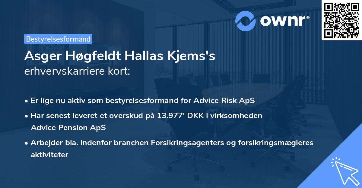 Asger Høgfeldt Hallas Kjems's erhvervskarriere kort