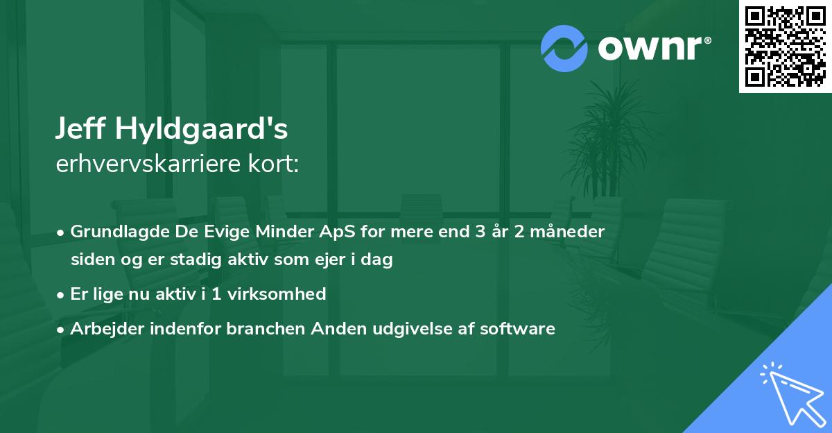 Jeff Hyldgaard's erhvervskarriere kort