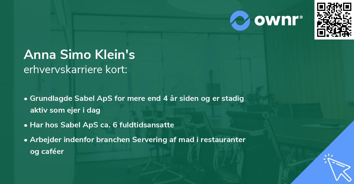 Anna Simo Klein's erhvervskarriere kort