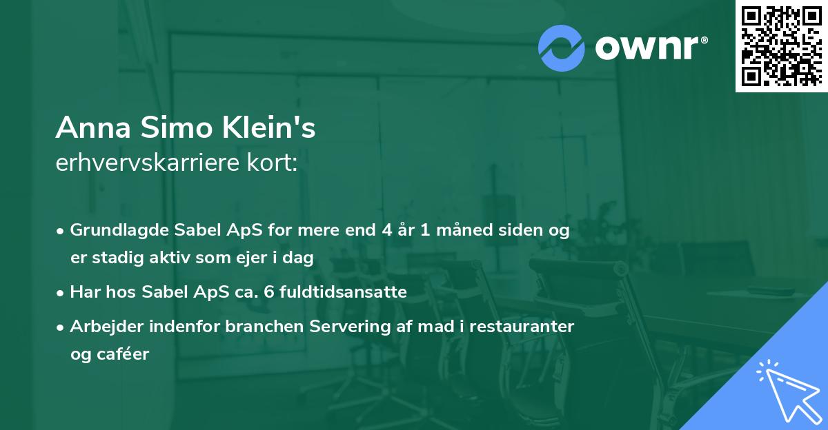 Anna Simo Klein's erhvervskarriere kort